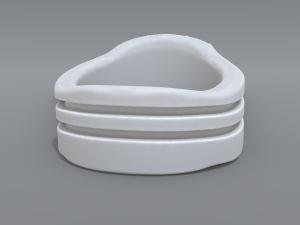 ring scull 3D 프린트 모델