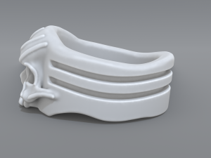 ring scull 3D 프린트 모델