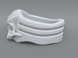 anello di coppia Modello di stampa 3D