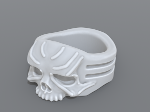 ring scull 3D 프린트 모델