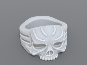ring scull 3D 프린트 모델