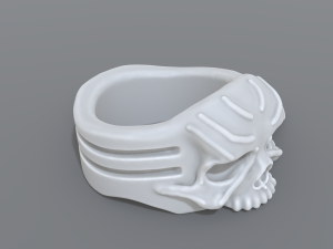 ring scull 3D 프린트 모델