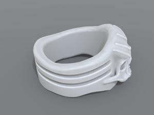 ring scull 3D 프린트 모델