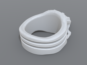 ring scull 3D 프린트 모델