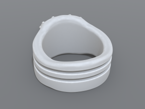 ring scull 3D 프린트 모델