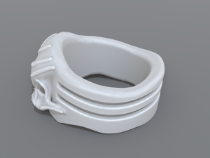 ring scull 3D 프린트 모델