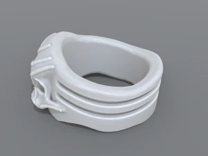 anello di coppia Modello di stampa 3D