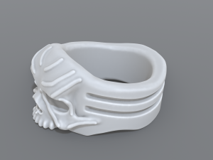 ring scull 3D 프린트 모델