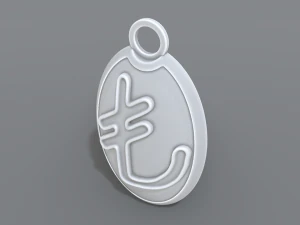 keychain turkish lira 3D Print Model