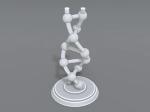 dna 3D Print Model