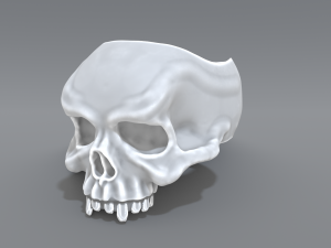 ring scull 3D Print Model
