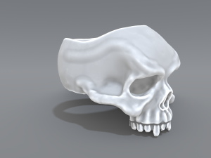 ring scull 3D Print Model