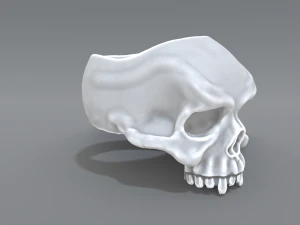 ring scull 3D Print Model
