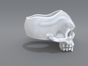 ring scull 3D Print Model