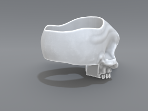 ring scull 3D Print Model