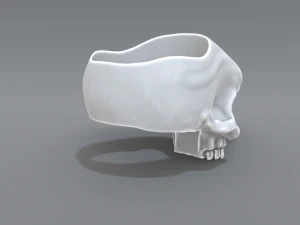 ring scull 3D Print Model