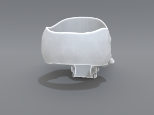ring scull 3D Print Model
