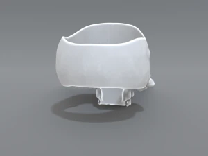 ring scull 3D Print Model