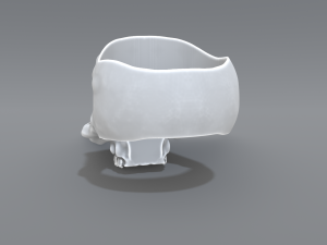 ring scull 3D Print Model
