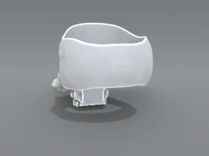 ring scull 3D Print Model