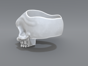 ring scull 3D Print Model