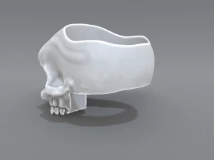 ring scull 3D Print Model