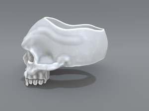 ring scull 3D Print Model