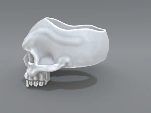 ring scull 3D Print Model