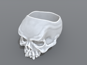 ring scull 3D Print Model