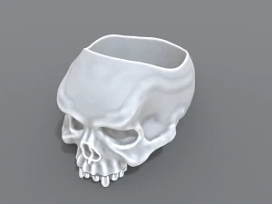 ring scull 3D Print Model