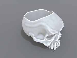 ring scull 3D Print Model