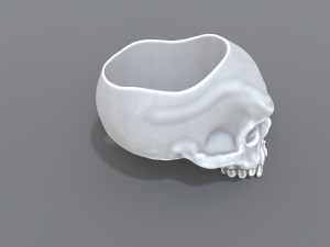 ring scull 3D Print Model