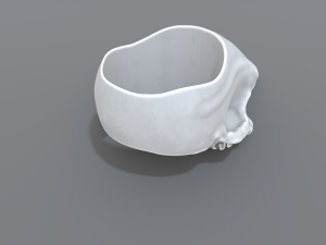 ring scull 3D Print Model