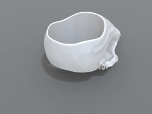 ring scull 3D Print Model