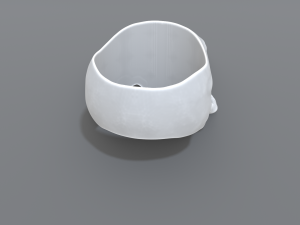 ring scull 3D Print Model