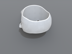 ring scull 3D Print Model
