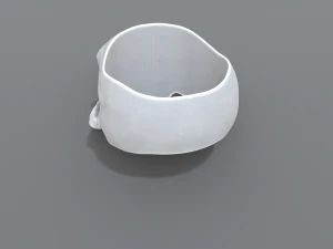 ring scull 3D Print Model
