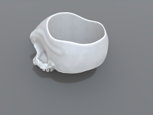 ring scull 3D Print Model
