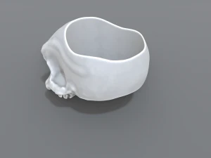 ring scull 3D Print Model