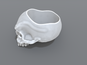 ring scull 3D Print Model