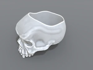 ring scull 3D Print Model