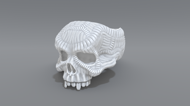 ring scull 3D 打印模型 .c4d .max .obj .3ds .fbx .stl .blend 