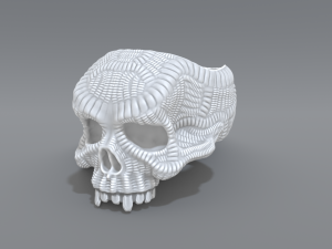 ring scull 3Dプリントモデル