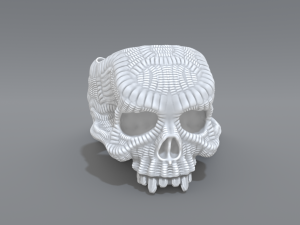 ring scull 3D 打印模型