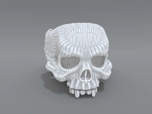 ring scull 3D Print Model