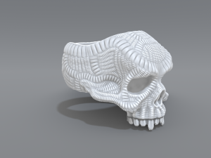 ring scull 3D 打印模型