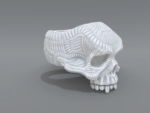 ring scull 3D Print Model