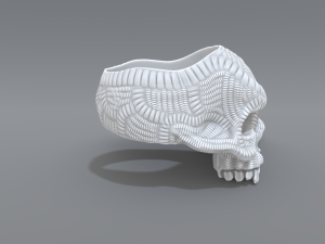 ring scull 3D 打印模型
