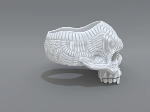 ring scull 3D Print Model