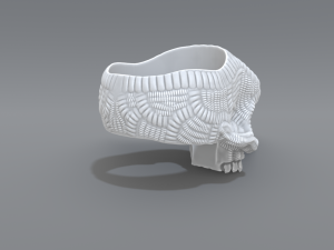 ring scull 3D 打印模型